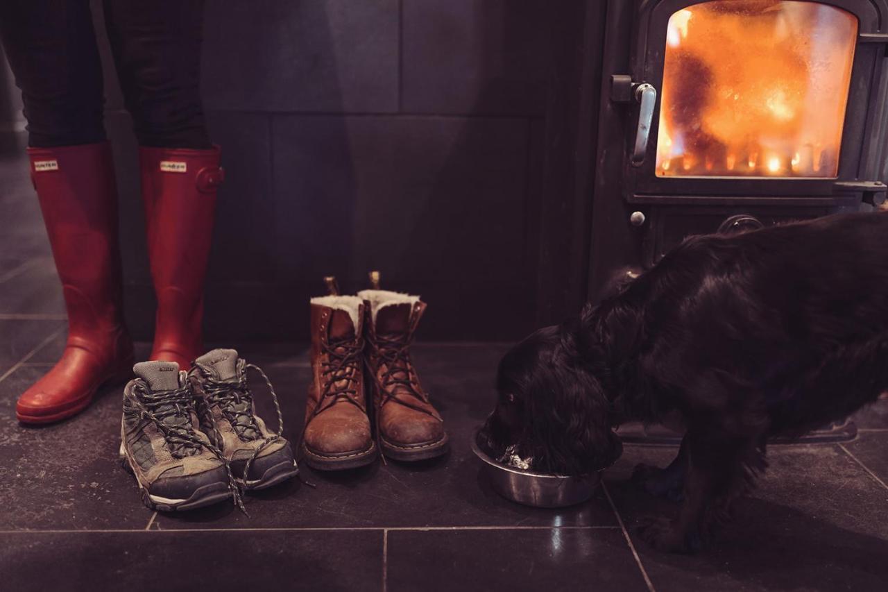 Longlands Inn & Cottages カーンフォース エクステリア 写真 A dog in front of a wood burning stove
